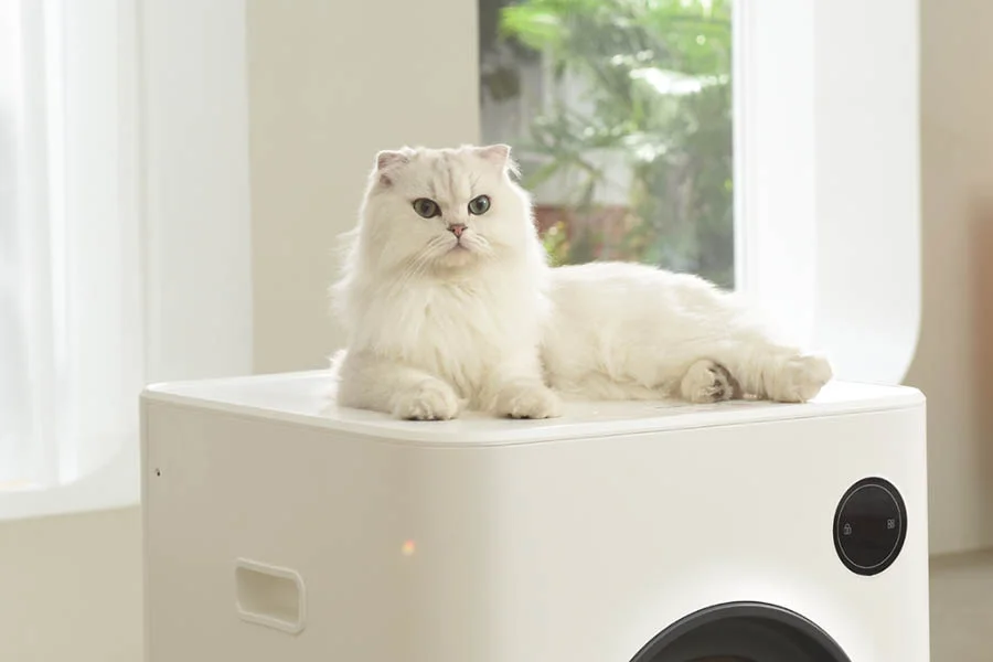 best self-cleaning cat litter box